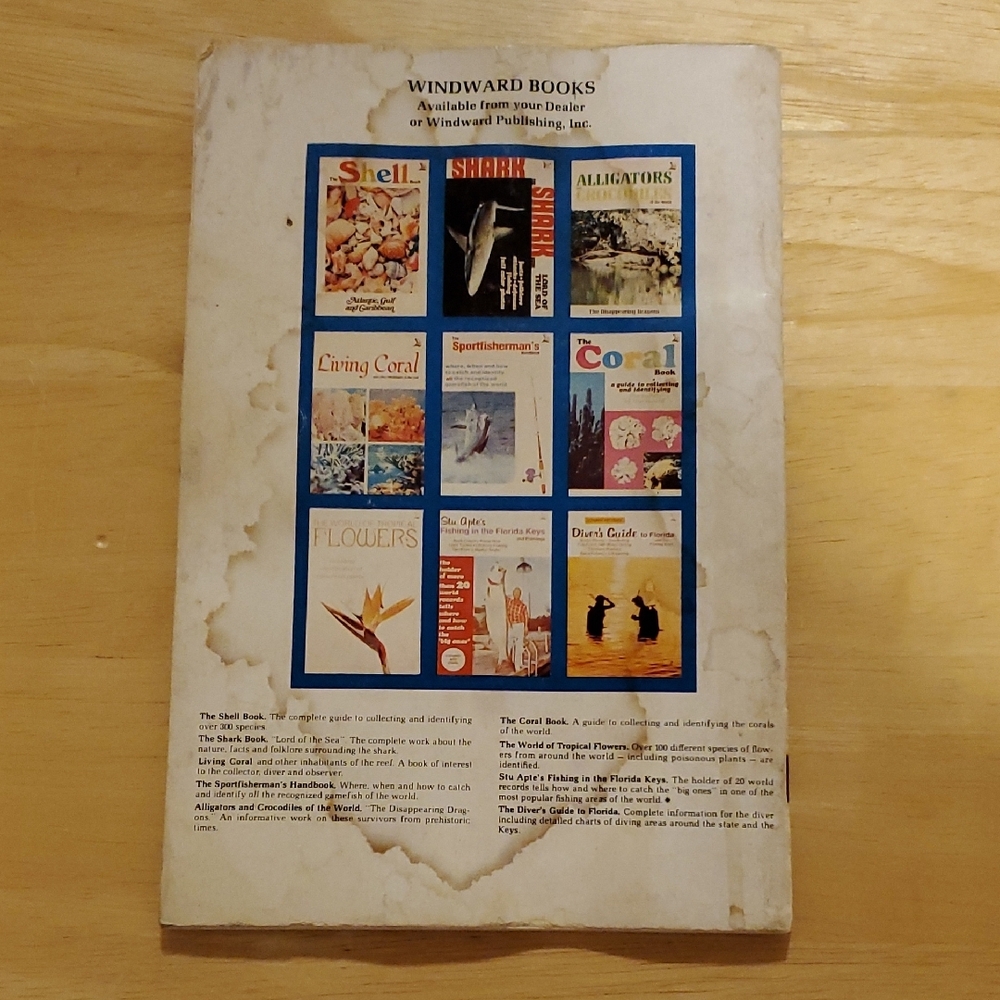 Colorful Shell Book - Picture 2 of 2